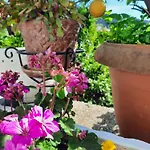 Vasilis Garden House *