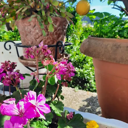 Vasilis Garden House *