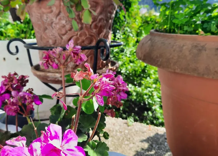 Vasilis Garden House *