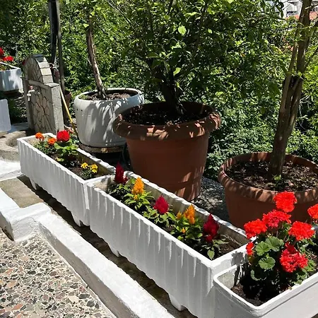 Vasilis Garden House Kawala
