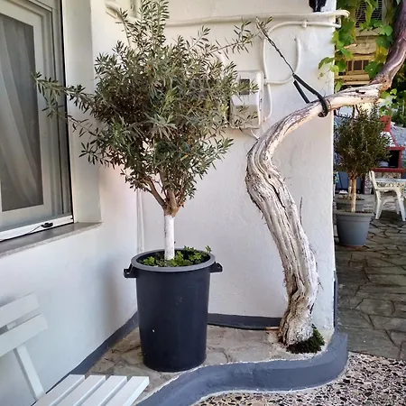 Vasilis Garden House Dom wakacyjny Kawala