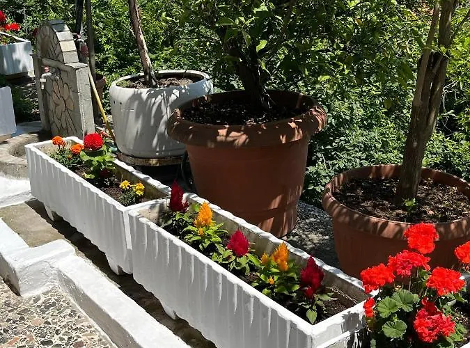 Vasilis Garden House Kawala